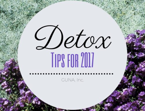 New Year Detox Tips