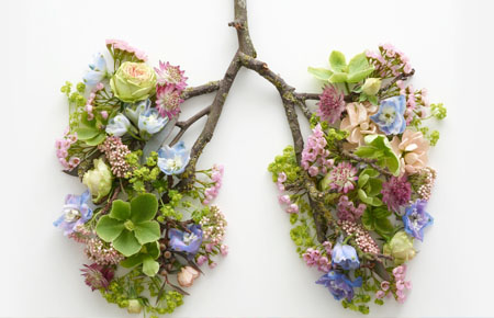 Seasonal Allergies - Flowers and tree branches shaped like lungs